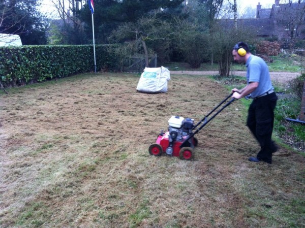 Scarify in two directions to remove as much thatch as possible.
