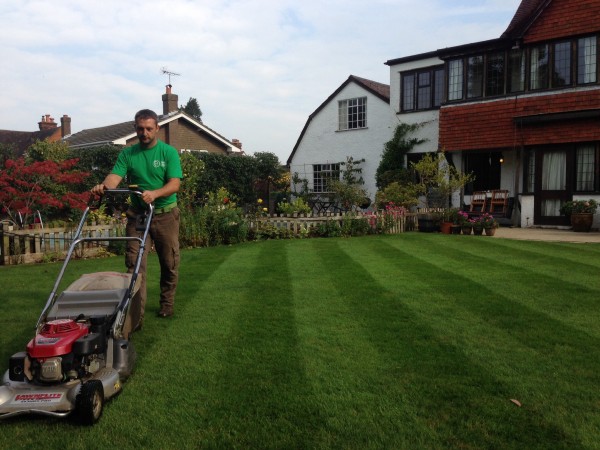 Grass cutting contracts available