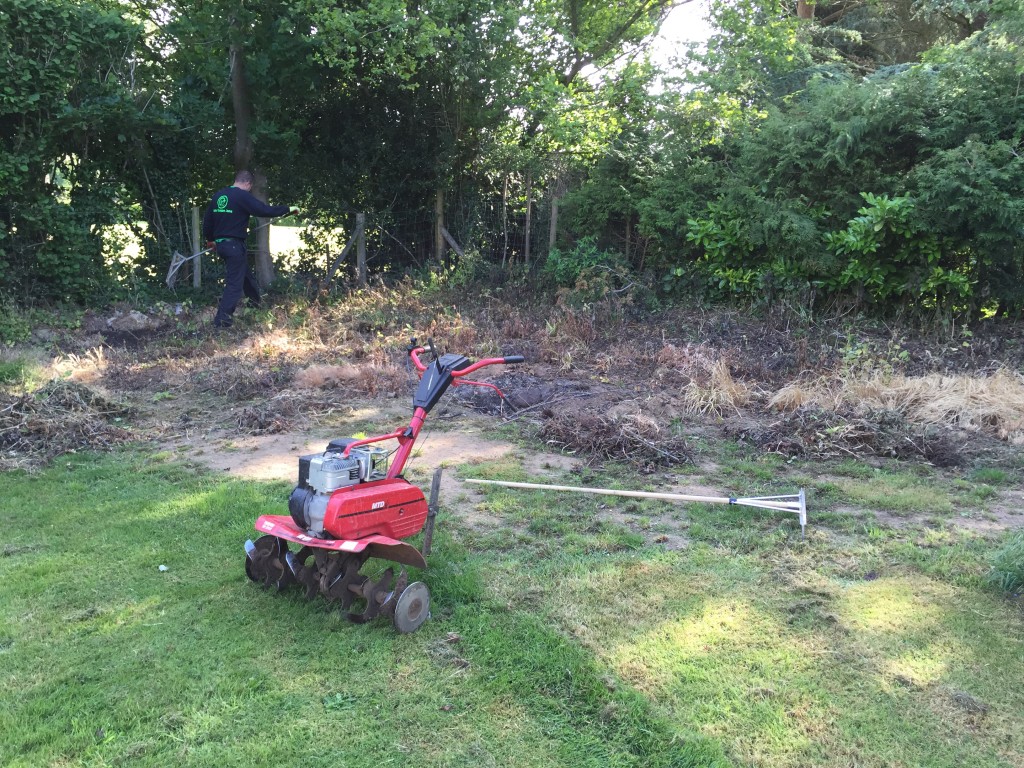 Untouched area of garden. Full of weeds and rubble