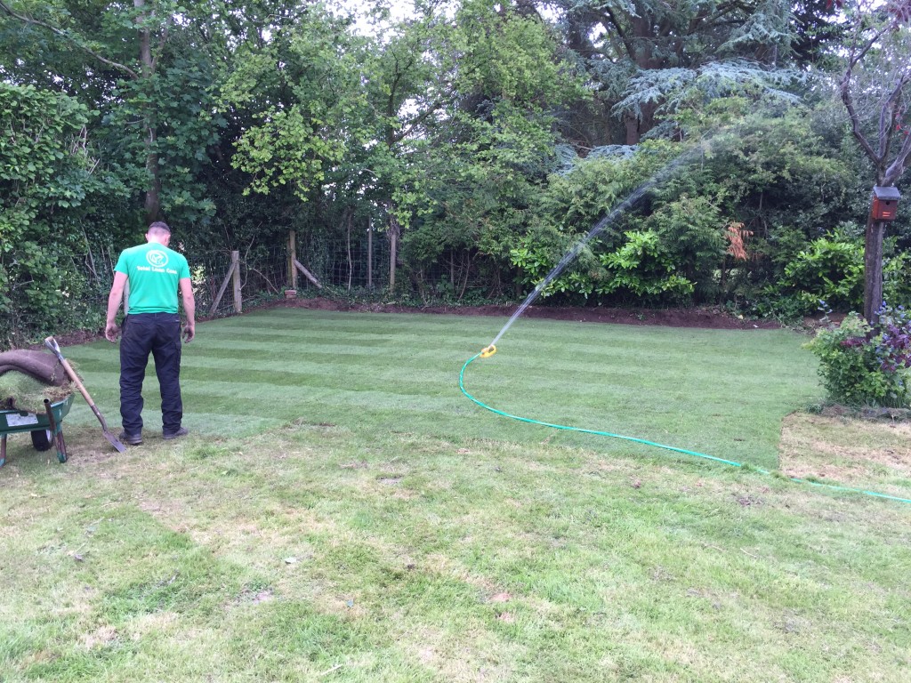 Turf laid over prepped area and watering in.